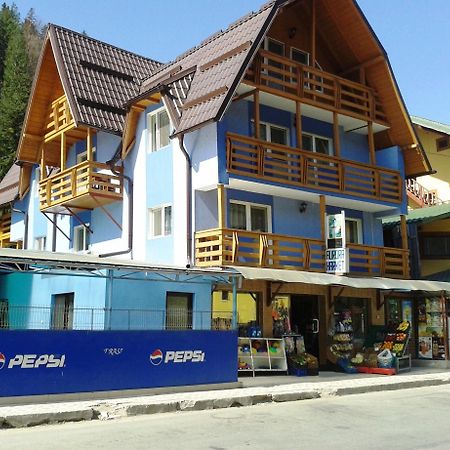 Pensiunea Aurora - Great Hostel Voineasa Zewnętrze zdjęcie