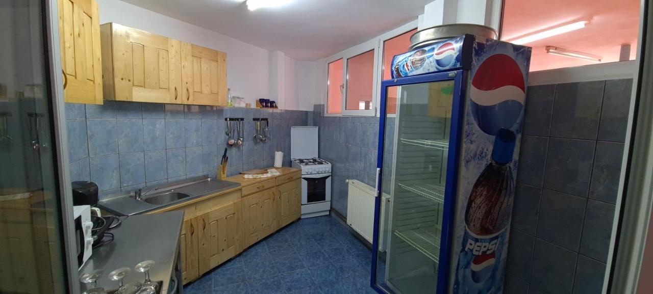 Pensiunea Aurora - Great Hostel Voineasa Zewnętrze zdjęcie