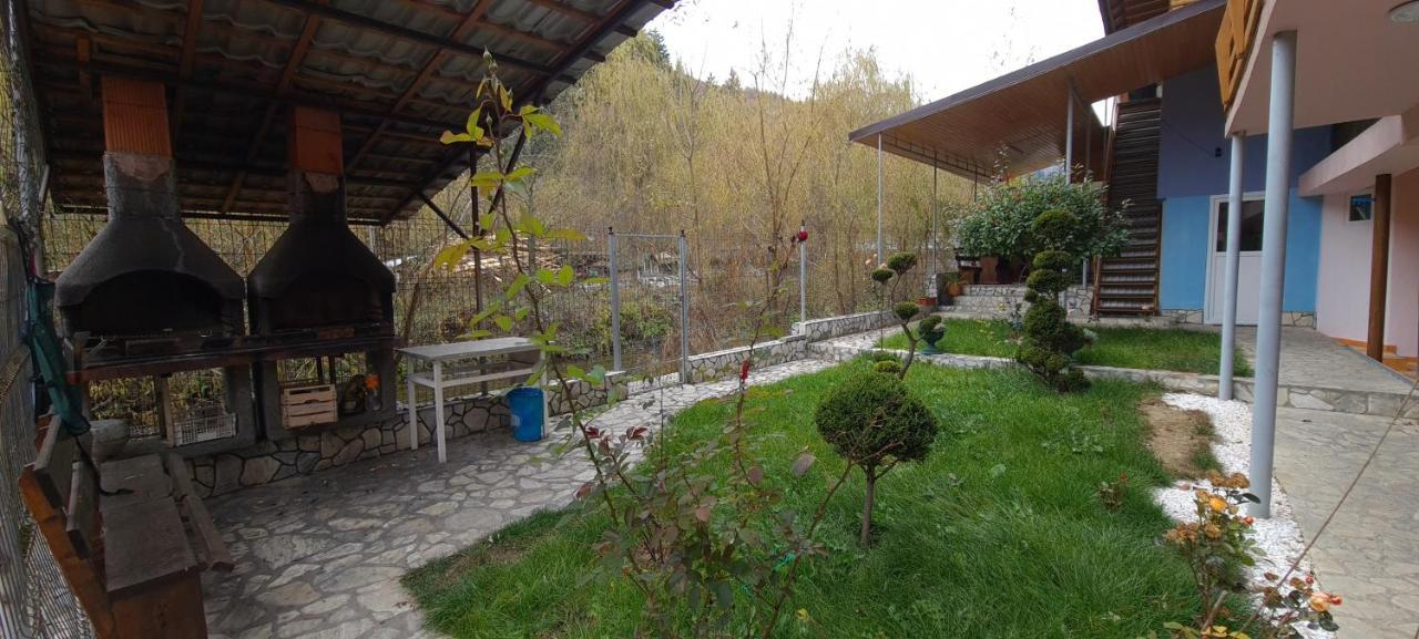 Pensiunea Aurora - Great Hostel Voineasa Zewnętrze zdjęcie
