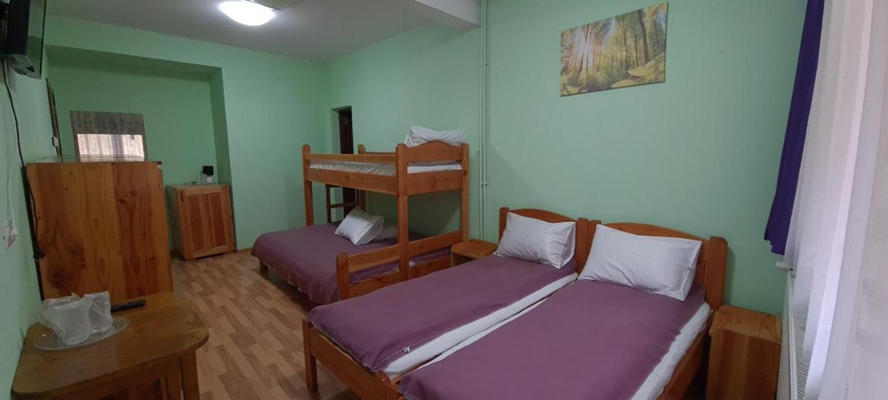 Pensiunea Aurora - Great Hostel Voineasa Zewnętrze zdjęcie