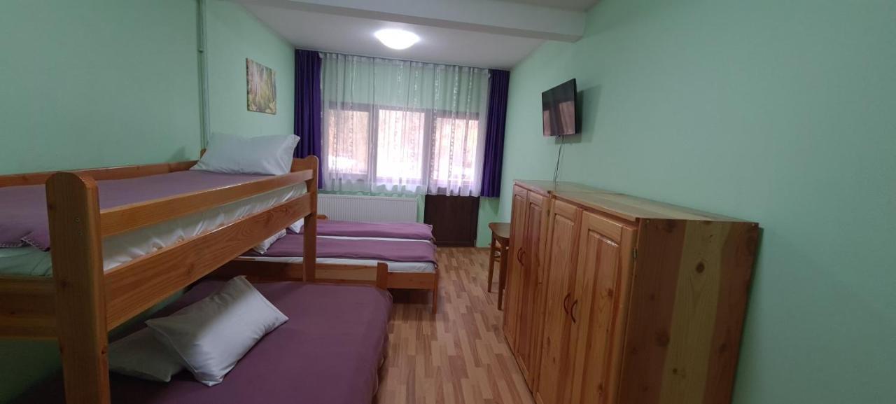 Pensiunea Aurora - Great Hostel Voineasa Zewnętrze zdjęcie