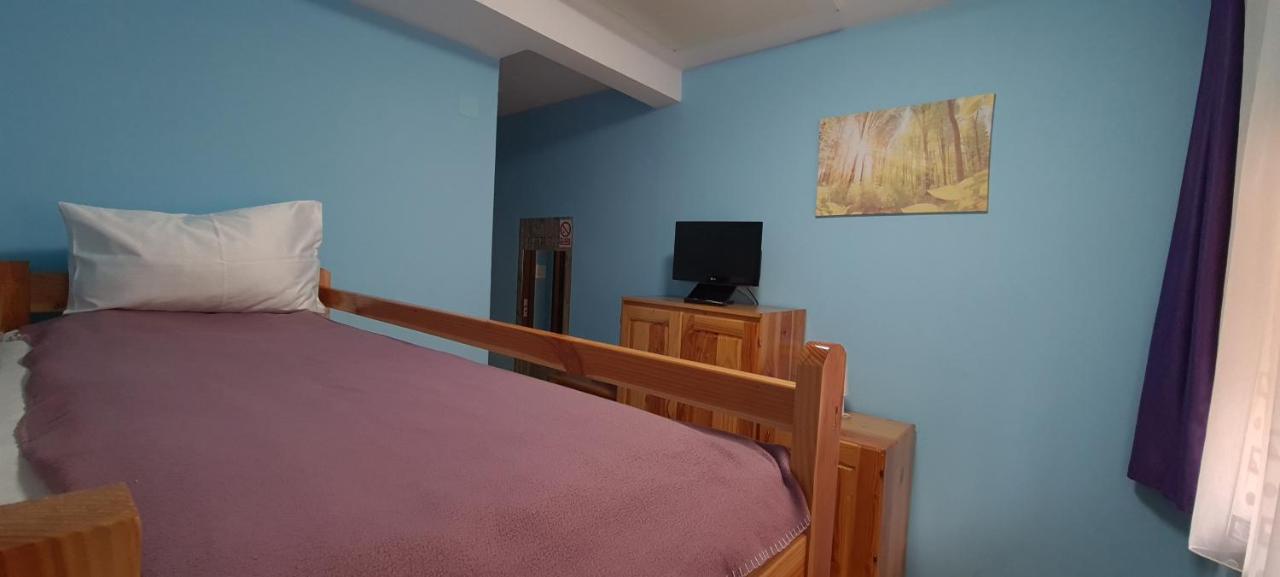Pensiunea Aurora - Great Hostel Voineasa Zewnętrze zdjęcie