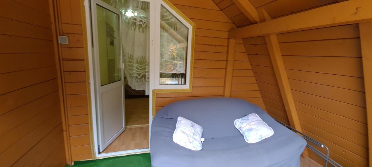 Pensiunea Aurora - Great Hostel Voineasa Zewnętrze zdjęcie