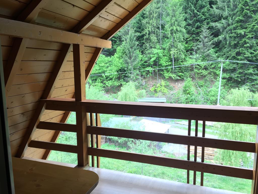 Pensiunea Aurora - Great Hostel Voineasa Zewnętrze zdjęcie